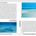 mostra_cinzia_gorini_2png